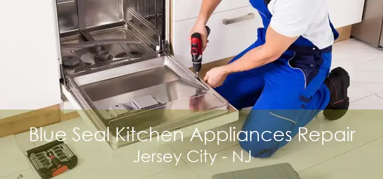 Blue Seal Kitchen Appliances Repair Jersey City - NJ