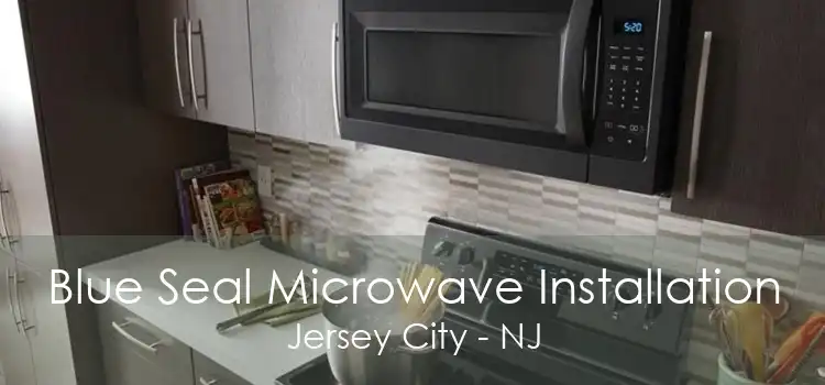 Blue Seal Microwave Installation Jersey City - NJ