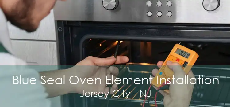 Blue Seal Oven Element Installation Jersey City - NJ