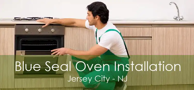 Blue Seal Oven Installation Jersey City - NJ