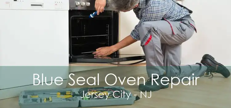 Blue Seal Oven Repair Jersey City - NJ