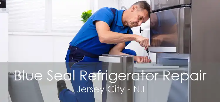 Blue Seal Refrigerator Repair Jersey City - NJ