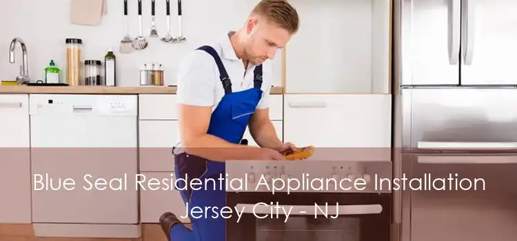 Blue Seal Residential Appliance Installation Jersey City - NJ