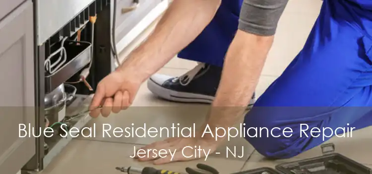 Blue Seal Residential Appliance Repair Jersey City - NJ