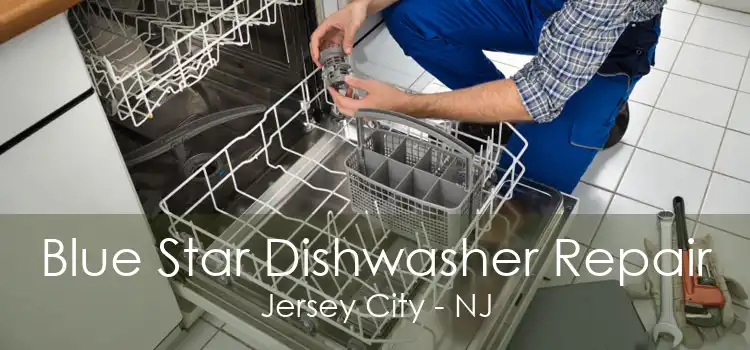 Blue Star Dishwasher Repair Jersey City - NJ