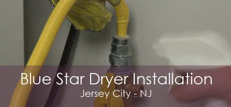 Blue Star Dryer Installation Jersey City - NJ