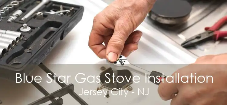 Blue Star Gas Stove Installation Jersey City - NJ