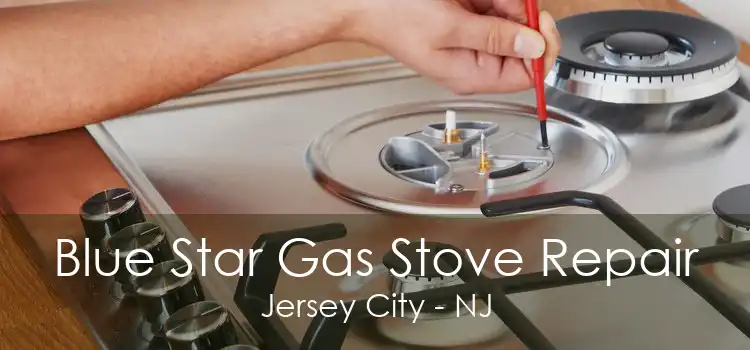 Blue Star Gas Stove Repair Jersey City - NJ