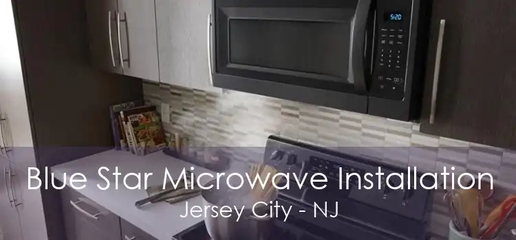 Blue Star Microwave Installation Jersey City - NJ