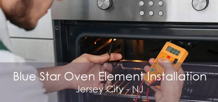 Blue Star Oven Element Installation Jersey City - NJ