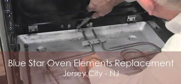 Blue Star Oven Elements Replacement Jersey City - NJ