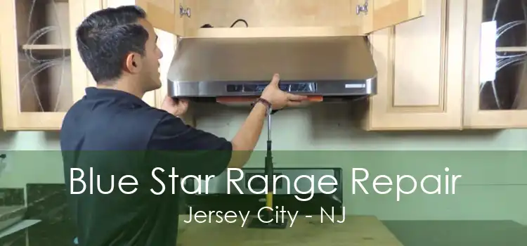 Blue Star Range Repair Jersey City - NJ