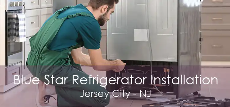 Blue Star Refrigerator Installation Jersey City - NJ