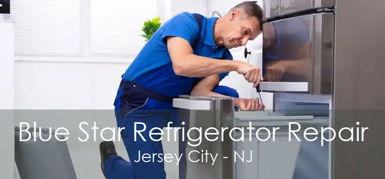 Blue Star Refrigerator Repair Jersey City - NJ