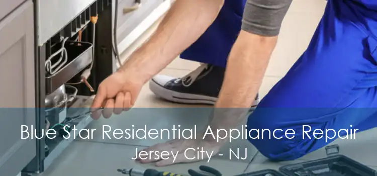 Blue Star Residential Appliance Repair Jersey City - NJ