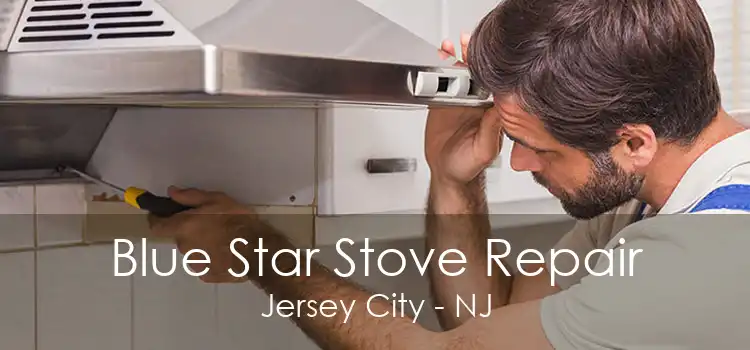 Blue Star Stove Repair Jersey City - NJ