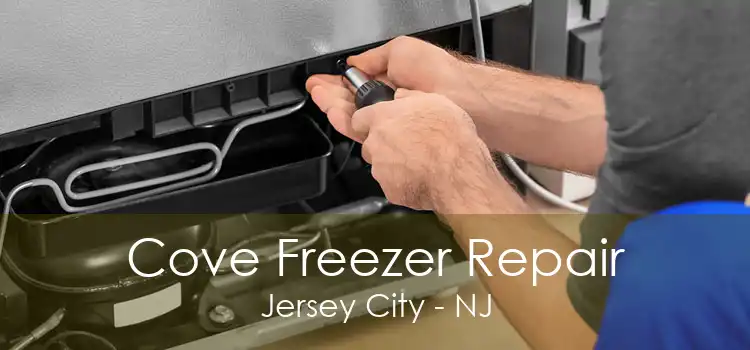 Cove Freezer Repair Jersey City - NJ