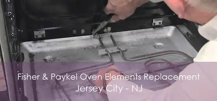 Fisher & Paykel Oven Elements Replacement Jersey City - NJ