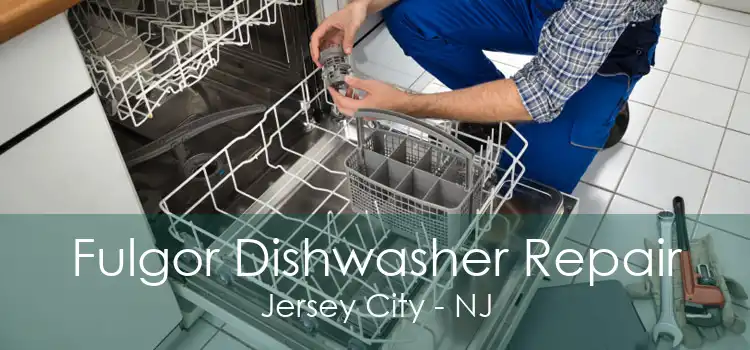 Fulgor Dishwasher Repair Jersey City - NJ