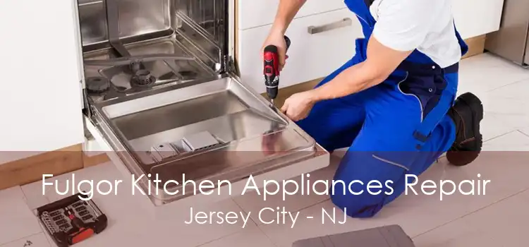 Fulgor Kitchen Appliances Repair Jersey City - NJ