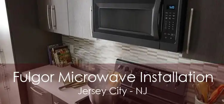 Fulgor Microwave Installation Jersey City - NJ