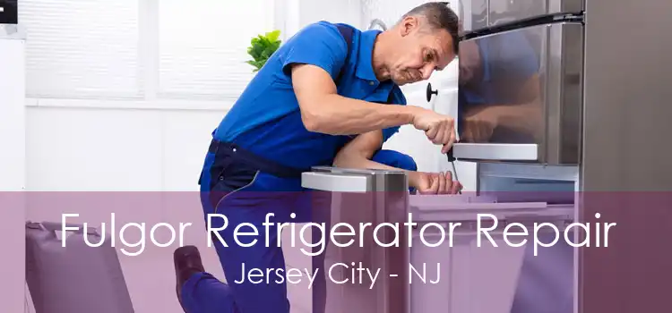 Fulgor Refrigerator Repair Jersey City - NJ