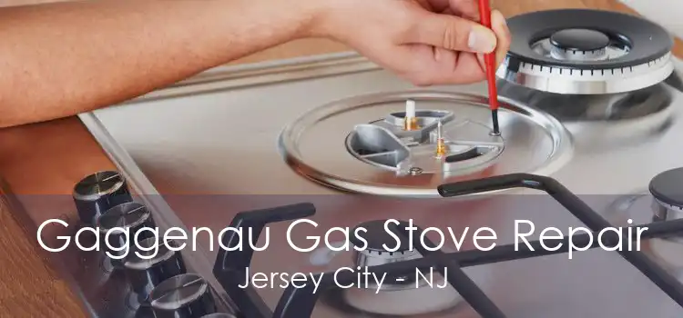 Gaggenau Gas Stove Repair Jersey City - NJ