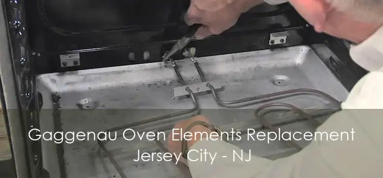 Gaggenau Oven Elements Replacement Jersey City - NJ