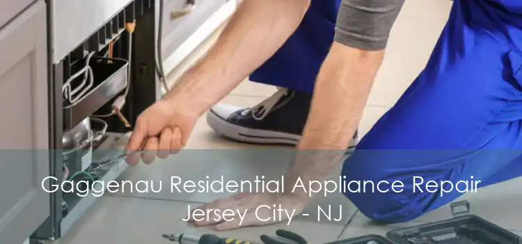 Gaggenau Residential Appliance Repair Jersey City - NJ