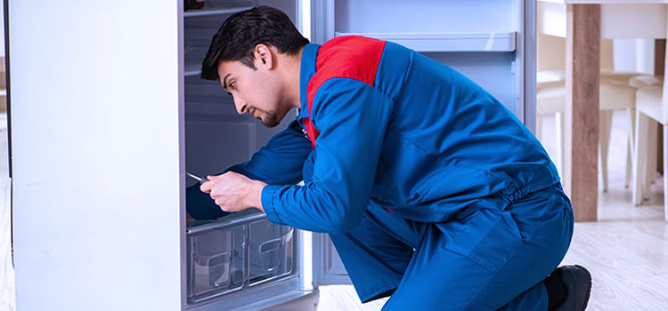 Freezer Repair Services in Jersey City, New Jersey