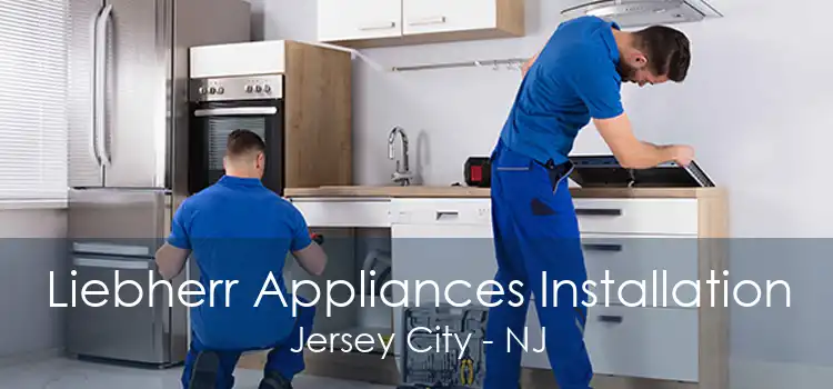 Liebherr Appliances Installation Jersey City - NJ