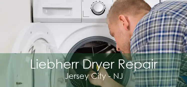 Liebherr Dryer Repair Jersey City - NJ