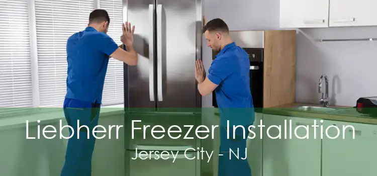 Liebherr Freezer Installation Jersey City - NJ