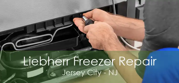 Liebherr Freezer Repair Jersey City - NJ