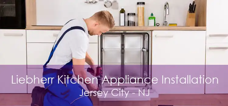 Liebherr Kitchen Appliance Installation Jersey City - NJ