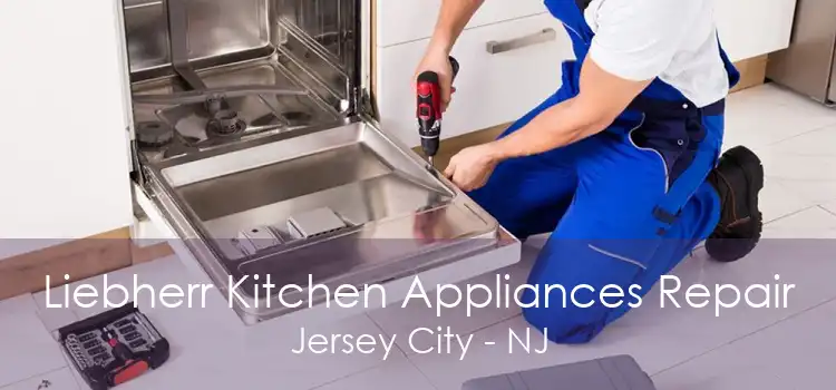 Liebherr Kitchen Appliances Repair Jersey City - NJ