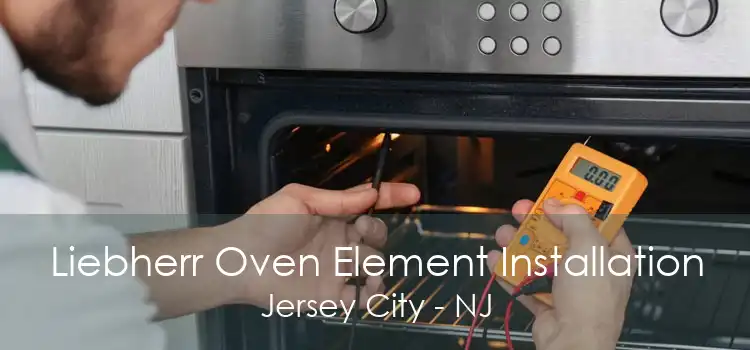 Liebherr Oven Element Installation Jersey City - NJ