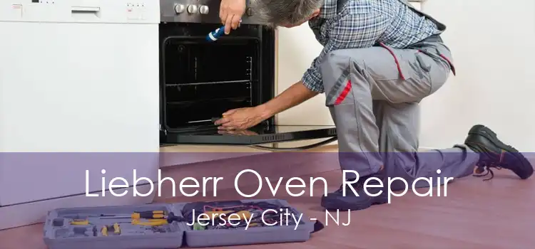 Liebherr Oven Repair Jersey City - NJ