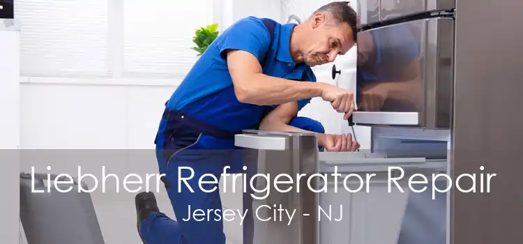 Liebherr Refrigerator Repair Jersey City - NJ