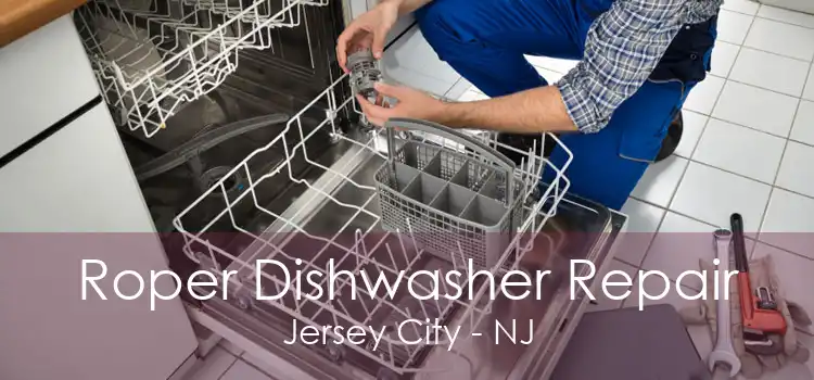 Roper Dishwasher Repair Jersey City - NJ