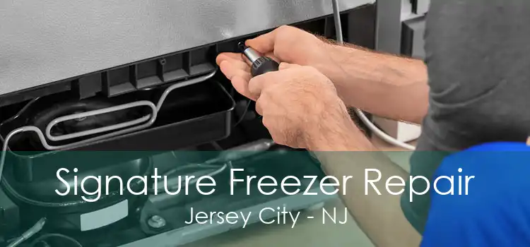 Signature Freezer Repair Jersey City - NJ