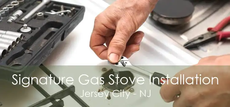 Signature Gas Stove Installation Jersey City - NJ