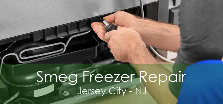 Smeg Freezer Repair Jersey City - NJ