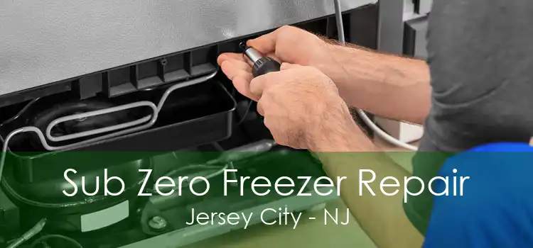 Sub Zero Freezer Repair Jersey City - NJ