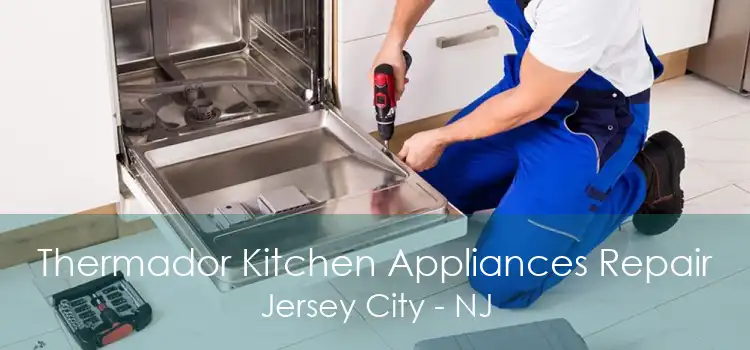 Thermador Kitchen Appliances Repair Jersey City - NJ