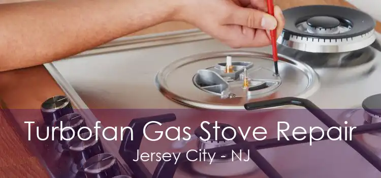 Turbofan Gas Stove Repair Jersey City - NJ