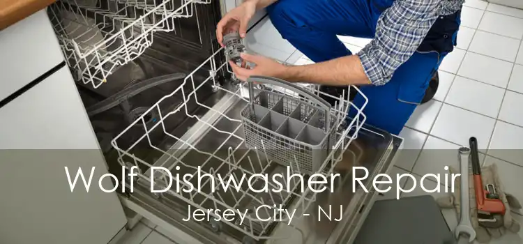 Wolf Dishwasher Repair Jersey City - NJ