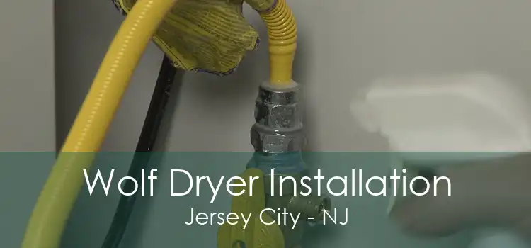 Wolf Dryer Installation Jersey City - NJ