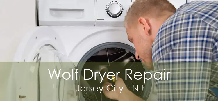 Wolf Dryer Repair Jersey City - NJ