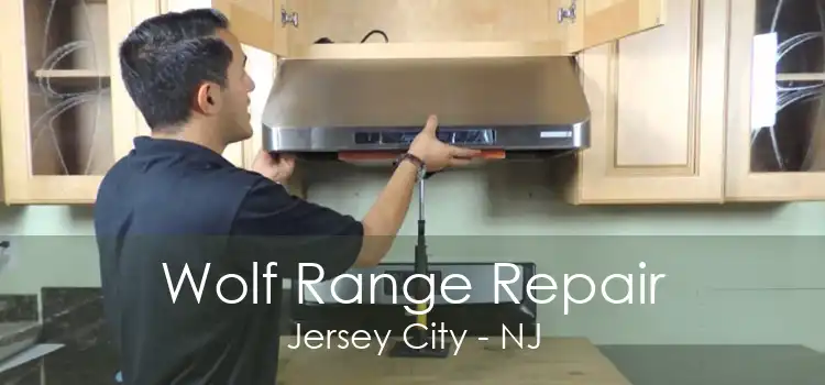 Wolf Range Repair Jersey City - NJ